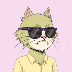 Angry Cat #1318