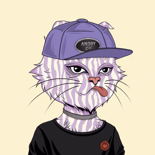 Angry Cat #9950