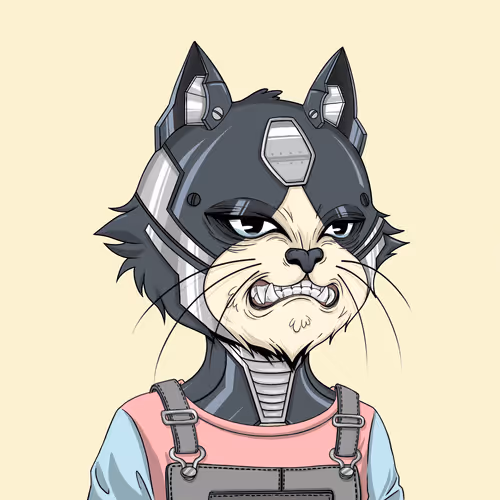 Angrycat Official