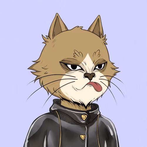 Angrycat Official