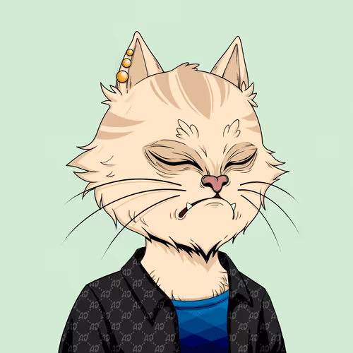 Angrycat Official