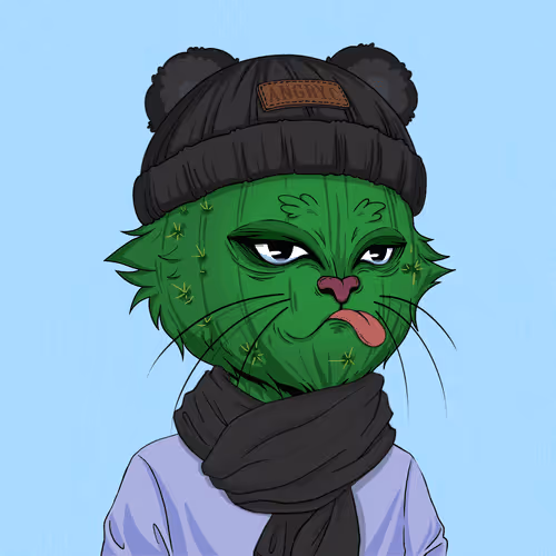 Angry Cat #9981