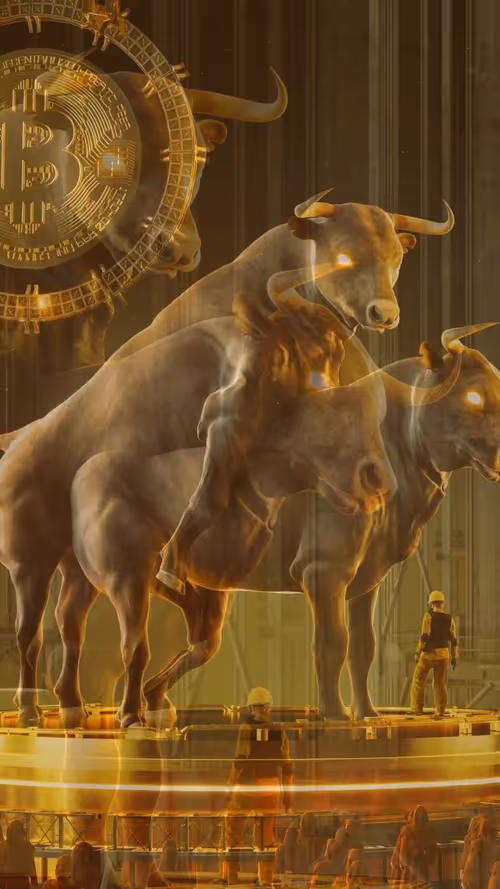 Item #100100001 Media