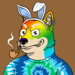 SHIBBY #663