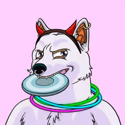 SHIBBY #374