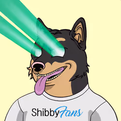 SHIBBY #400