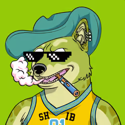 SHIBBY #1501