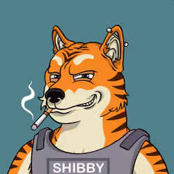 SHIBBY #600