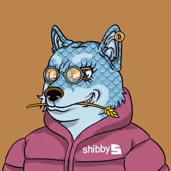 SHIBBY #1376