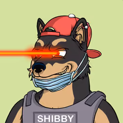 SHIBBY #649