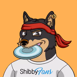 SHIBBY #343