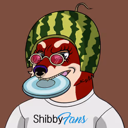 SHIBBY #1444