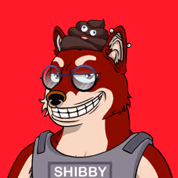 SHIBBY #546