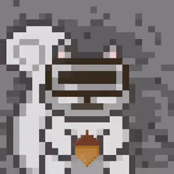 MoonSquirrels #1700