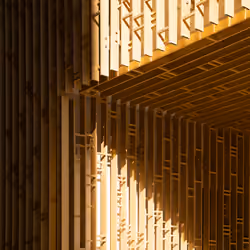 Golden Light