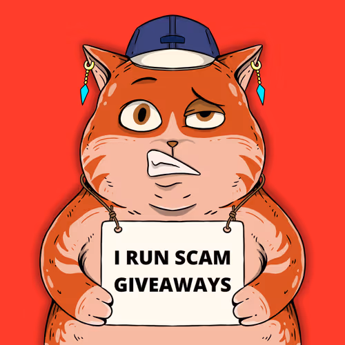 Wanted Cats