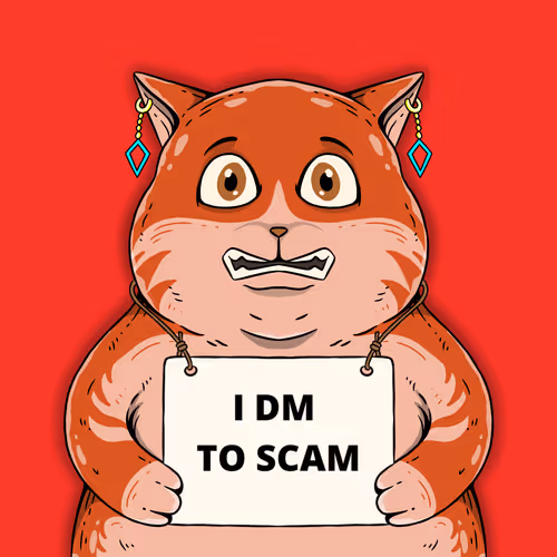 Wanted Cats
