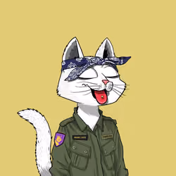 Mars Cat #5579