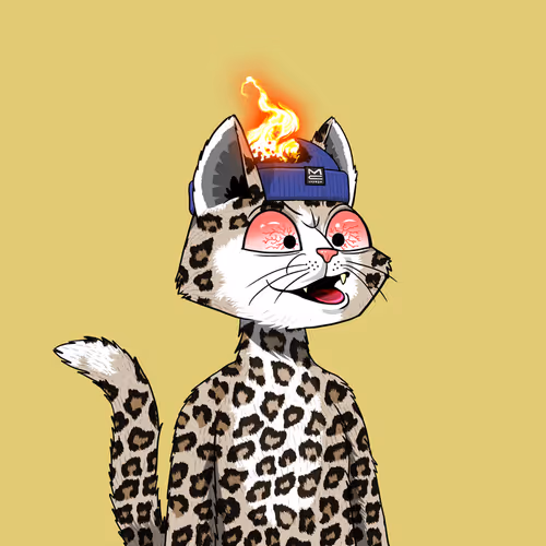 Mars Cat #16