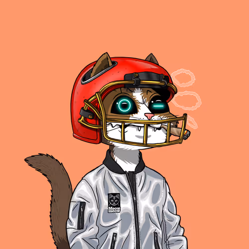 Mars Cat #1678