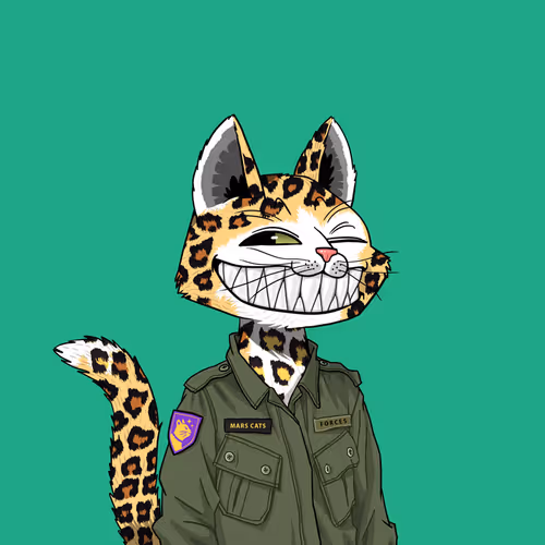 Mars Cat #6672