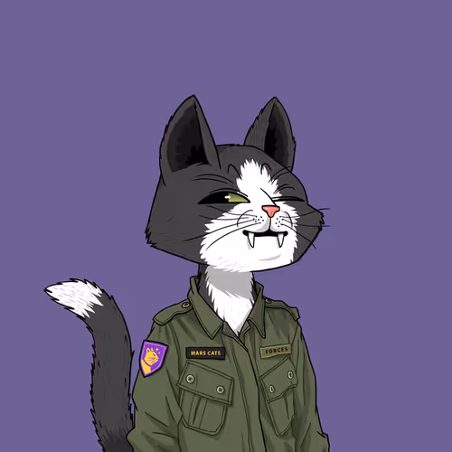 Mars Cat #3094