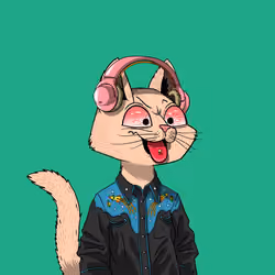 Mars Cat #433
