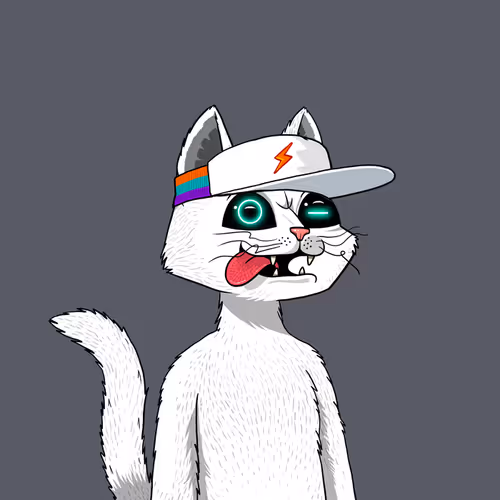 Mars Cat #989