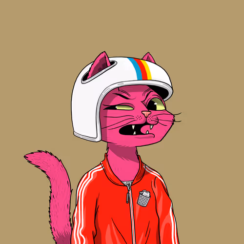 Mars Cat #2706