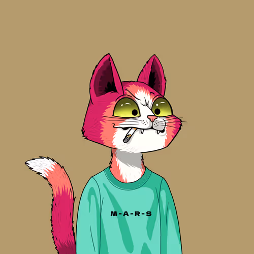 Mars Cat #1336