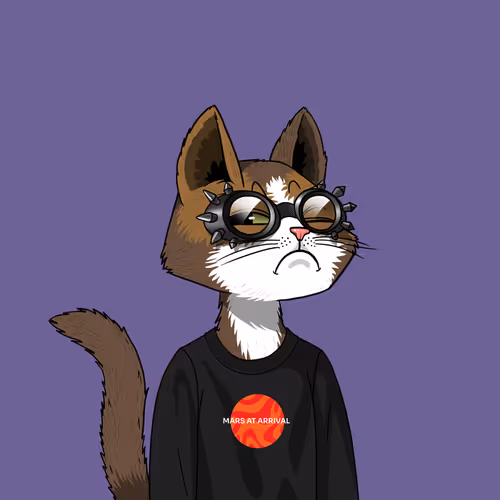 Mars Cat #2976