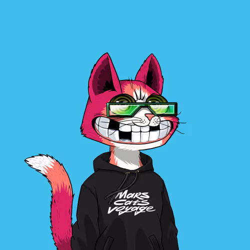 Marscatsvoyage
