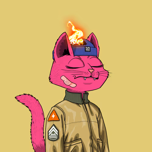 Mars Cat #9992