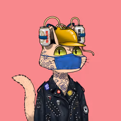 Mars Cat #1552