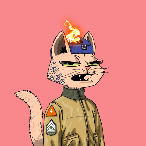Mars Cat #1843