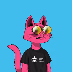 Mars Cat #1094