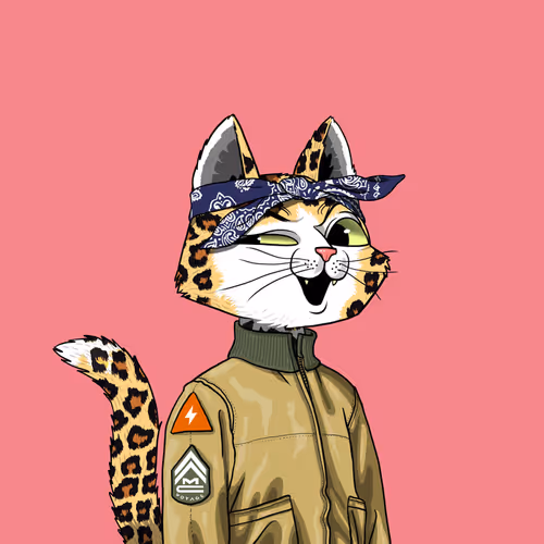 Mars Cat #6736