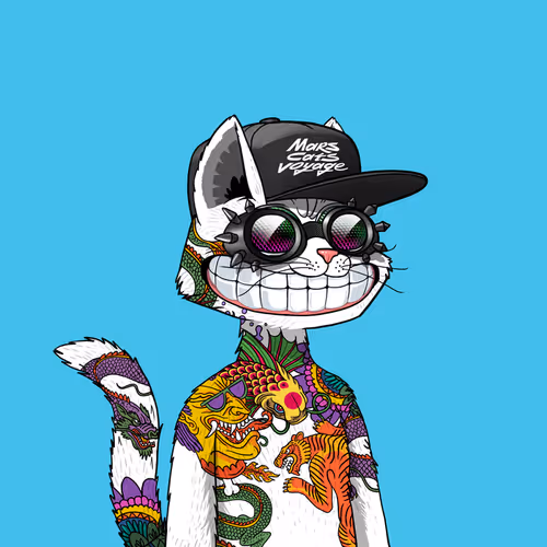 Marscatsvoyage