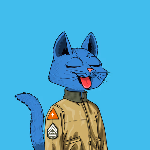 Mars Cat #3407