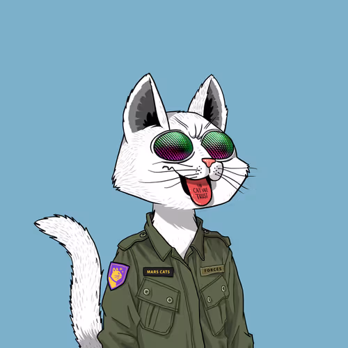 Mars Cat #3249
