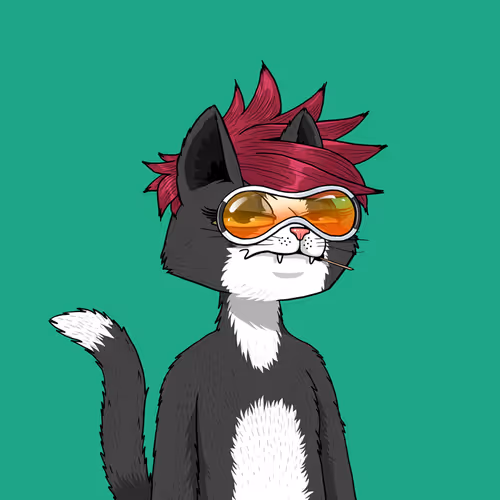 Mars Cat #1670