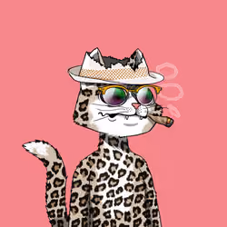 Mars Cat #503