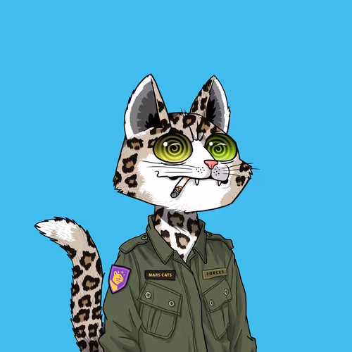 Mars Cat #3546