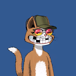 Mars Cat #2361