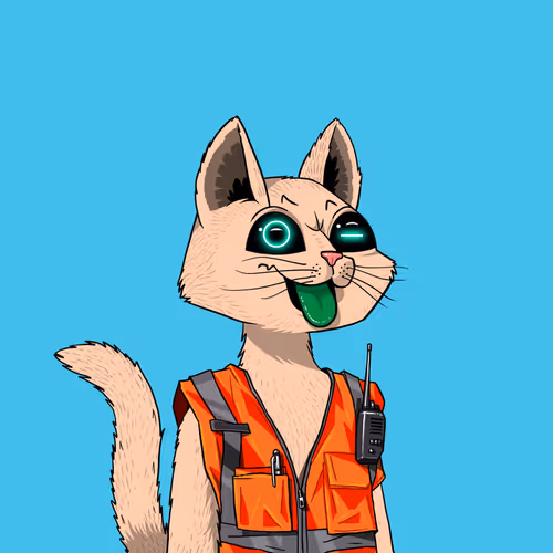 Mars Cat #2416
