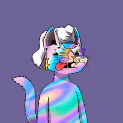 Mars Cat #2431