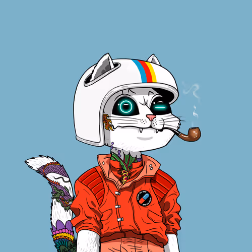 Marscatsvoyage