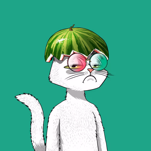 Mars Cat #576
