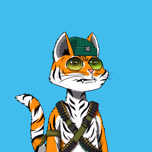 Mars Cat #5845