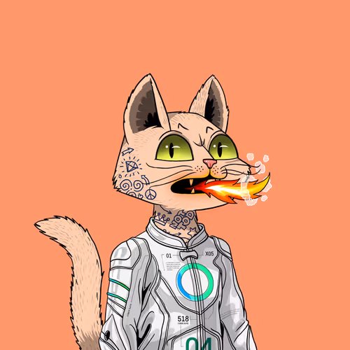 Mars Cat #3162